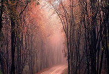 虎扑体育：昔日战友变主帅 马斯凯拉诺成梅西教练.