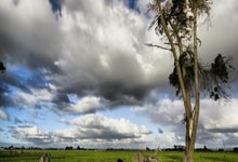 虎扑体育：沪媒：庸帅伊万再次原形毕露，战术设计略老套临场调整过于保守.