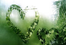 许家印给他9600万，恒大落魄后他仍坚守，还把儿子送到恒大足校.