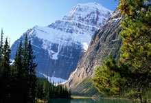 世界杯南美洲区外围赛：玻利维亚和乌拉圭以0比0收场.